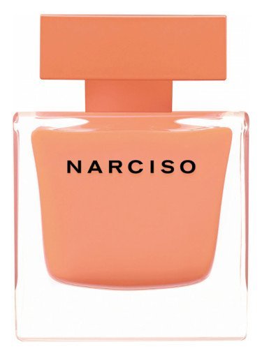 Narciso Rodriguez Ambree