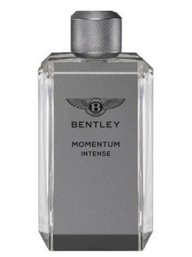 Bentley Momentum Intense