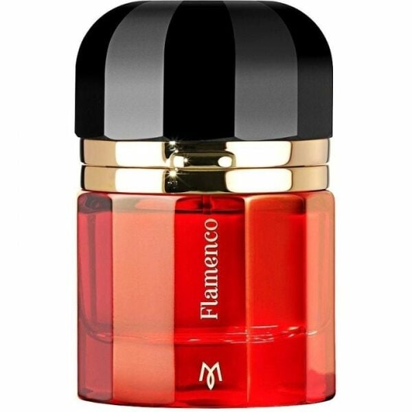 Ramon Monegal Flamenco