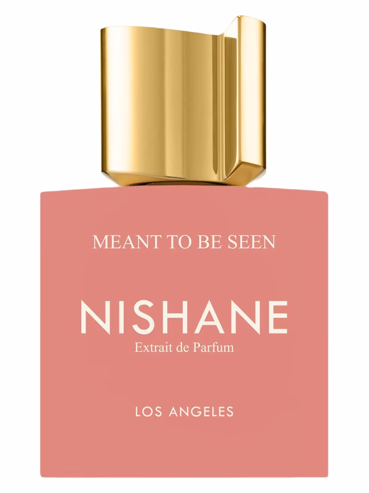 Nishane Meant To Be Seen Extrait