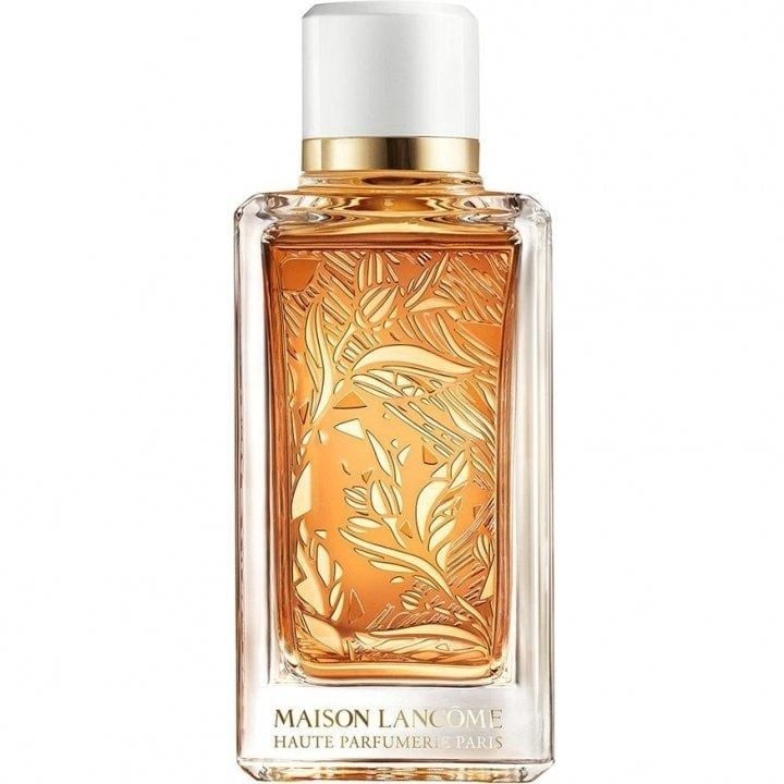 Maison Lancôme Santal Kardamon