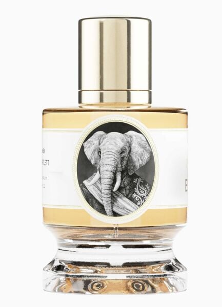 Zoologist Elephant