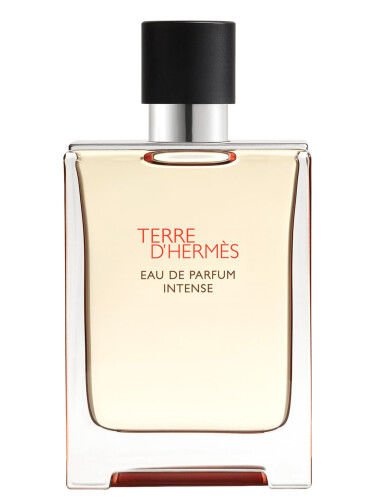 Hermes Terre d'Hermes Edp Intense