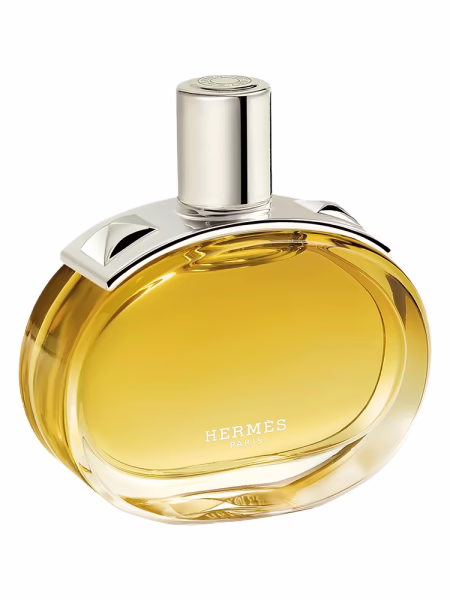 Hermès Barénia Intense